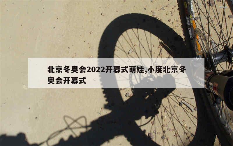 北京冬奥会2022开幕式萌娃,小度北京冬奥会开幕式