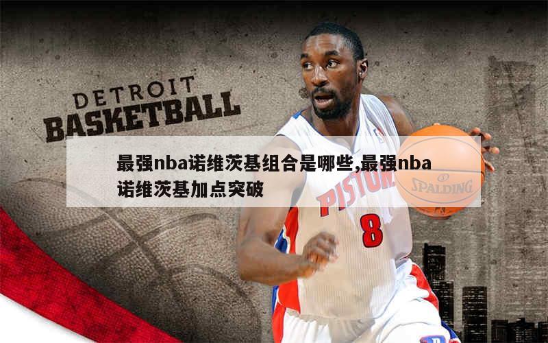 最强nba诺维茨基组合是哪些,最强nba诺维茨基加点突破