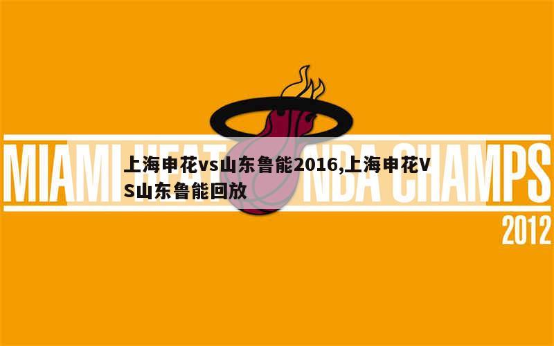 上海申花vs山东鲁能2016,上海申花VS山东鲁能回放