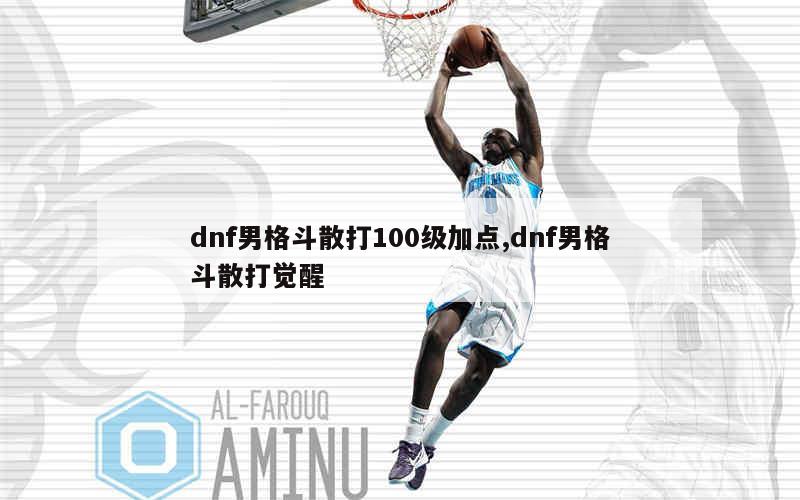 dnf男格斗散打100级加点,dnf男格斗散打觉醒