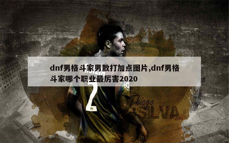 dnf男格斗家男散打加点图片,dnf男格斗家哪个职业最厉害2020