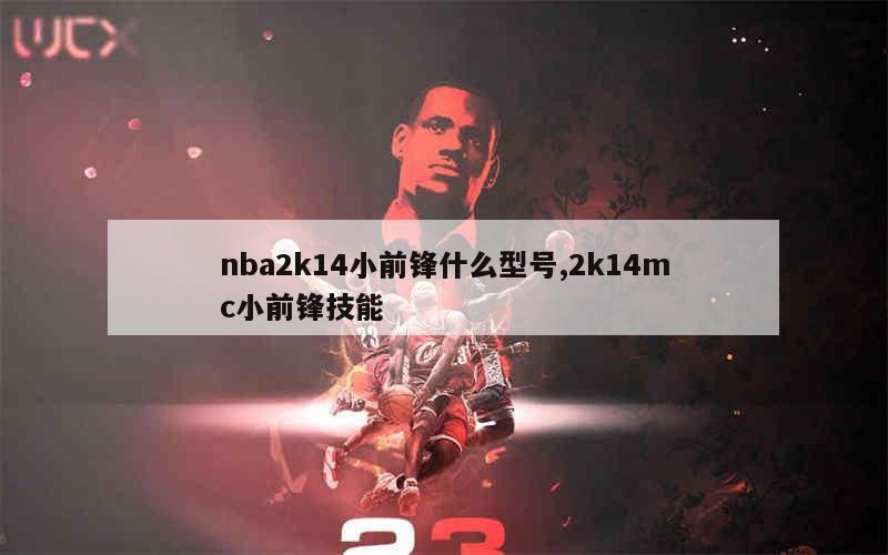 nba2k14小前锋什么型号,2k14mc小前锋技能