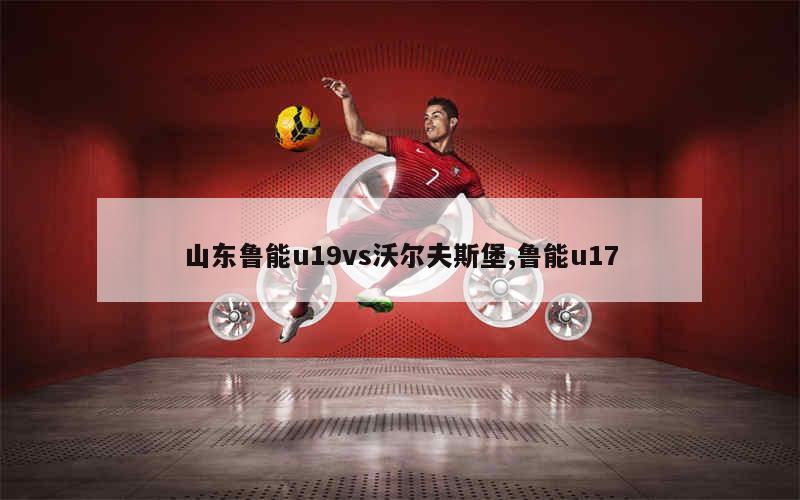 山东鲁能u19vs沃尔夫斯堡,鲁能u17