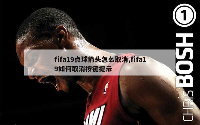 fifa19点球箭头怎么取消,fifa19如何取消按键提示