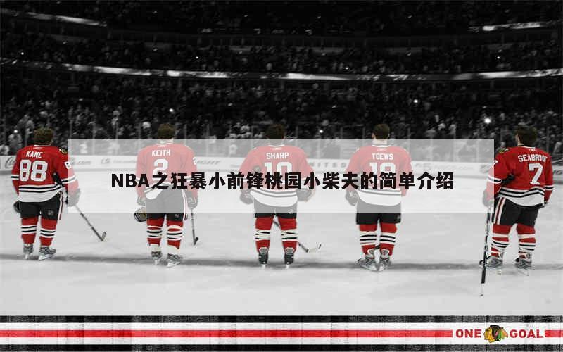 NBA之狂暴小前锋桃园小柴夫的简单介绍