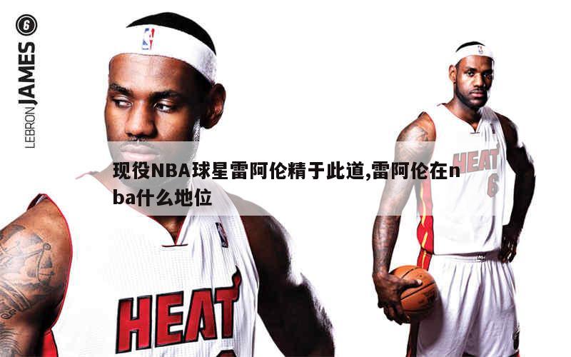 现役NBA球星雷阿伦精于此道,雷阿伦在nba什么地位