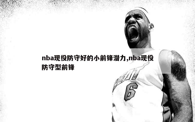 nba现役防守好的小前锋潜力,nba现役防守型前锋