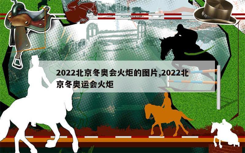 2022北京冬奥会火炬的图片,2022北京冬奥运会火炬