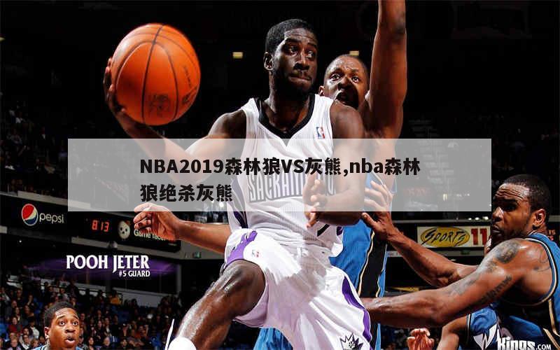 NBA2019森林狼VS灰熊,nba森林狼绝杀灰熊