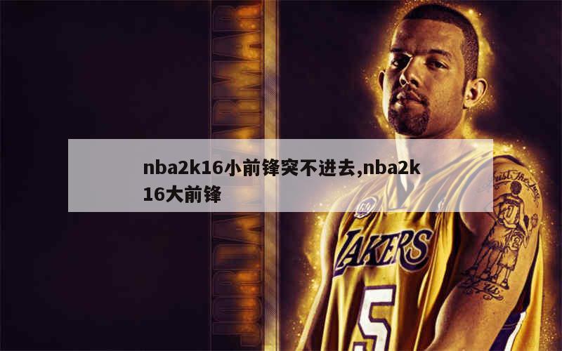 nba2k16小前锋突不进去,nba2k16大前锋