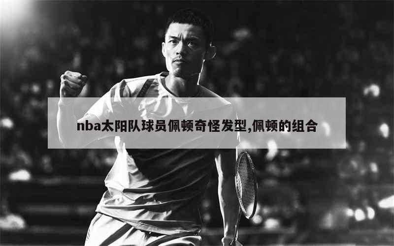 nba太阳队球员佩顿奇怪发型,佩顿的组合