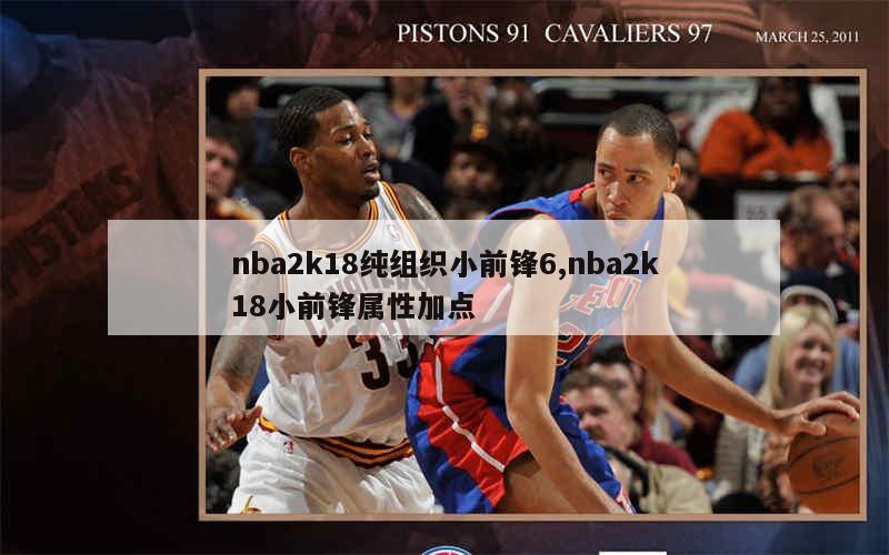 nba2k18纯组织小前锋6,nba2k18小前锋属性加点