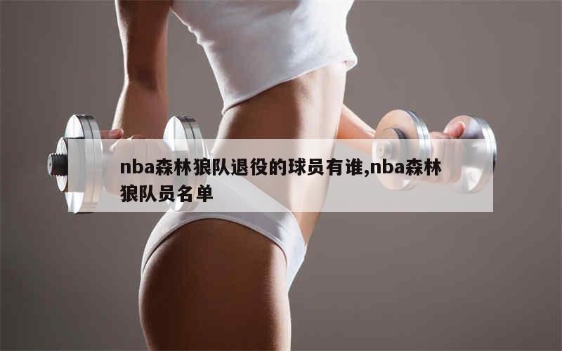 nba森林狼队退役的球员有谁,nba森林狼队员名单