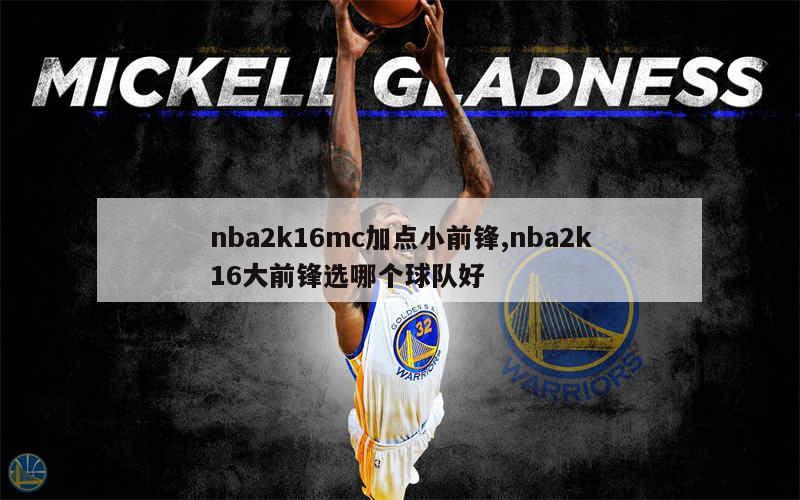 nba2k16mc加点小前锋,nba2k16大前锋选哪个球队好