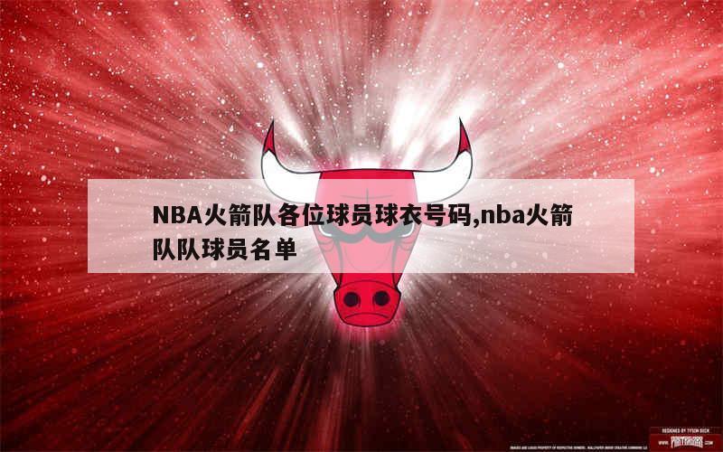 NBA火箭队各位球员球衣号码,nba火箭队队球员名单