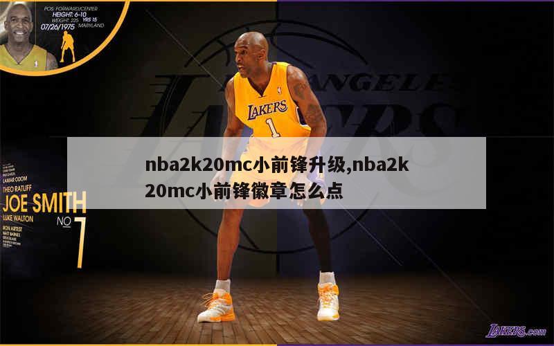 nba2k20mc小前锋升级,nba2k20mc小前锋徽章怎么点