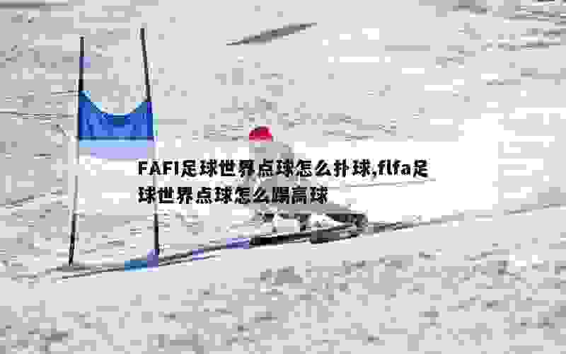 FAFI足球世界点球怎么扑球,flfa足球世界点球怎么踢高球