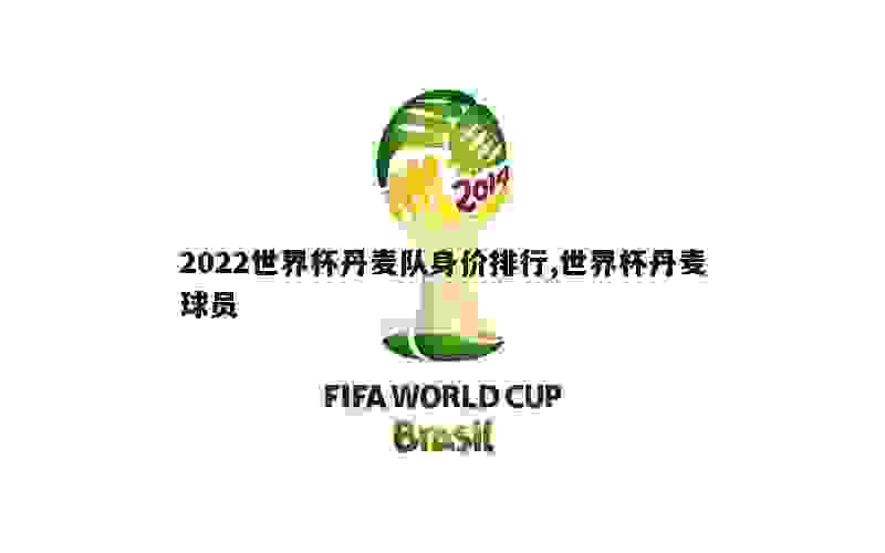 2022世界杯丹麦队身价排行,世界杯丹麦球员