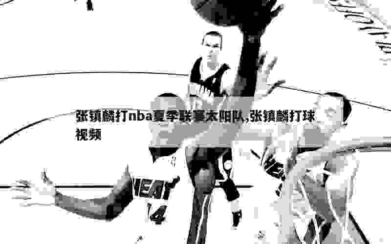 张镇麟打nba夏季联赛太阳队,张镇麟打球视频