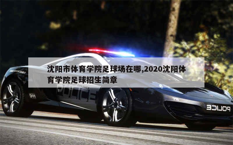 沈阳市体育学院足球场在哪,2020沈阳体育学院足球招生简章