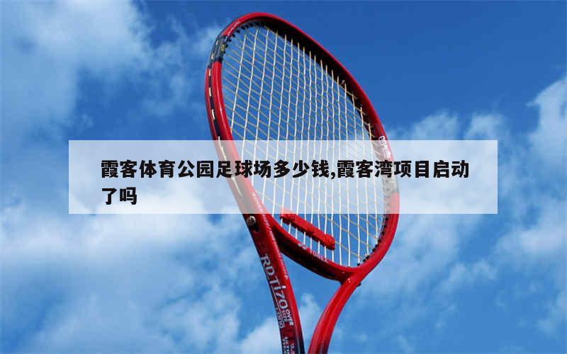 霞客体育公园足球场多少钱,霞客湾项目启动了吗